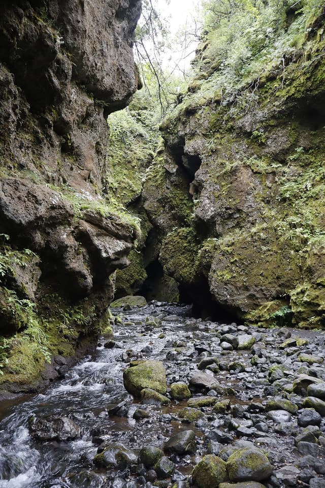 Nauthúsagil, Iceland