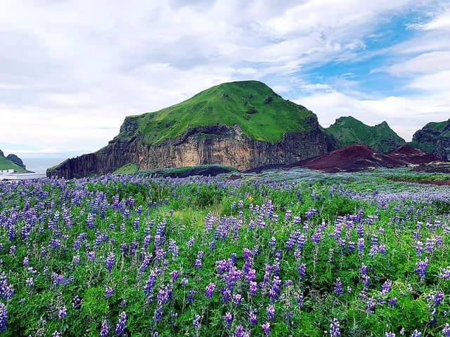 Heimaklettur, Iceland