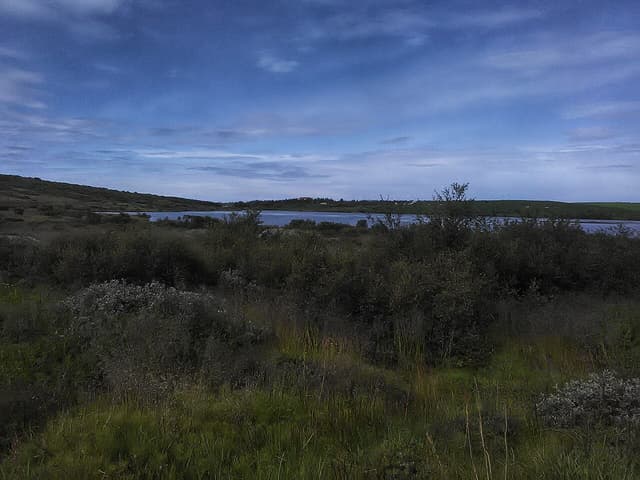 Vífilsstaðavatn, Iceland